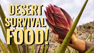 Desert Survival Food: Yucca Stalk -Junkyard Fox