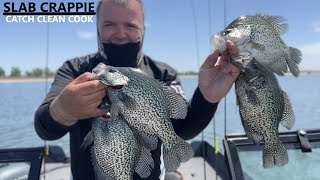 SLAYING BIG Colorado Crappie on Underspin Jigs