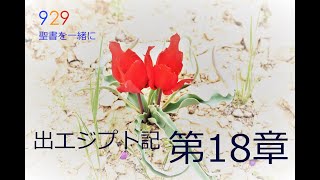 出エジプト記第18章「神の前で食事をする喜び」