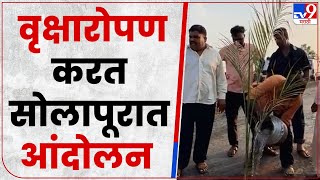 Solapur : नाराळाची रोपं लावत सोलपूरमध्ये लक्षवेधी आंदोलन