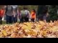 fall ing for carolina a seasonal video montage