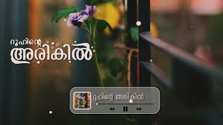 ഖൈർ പൂത്ത പൂമരം ♥️ | മധുരമൂറും മദ്ഹ് ഗാനം🎶 | | abdulla fadil | shaduli wandoor | wp status 🥰