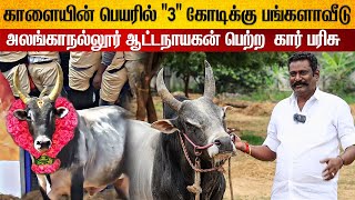 50க்கு மேல ஜல்லிக்கட்டு காளையா? | Mangathevanpatti Ganesan Karuppiah  Interview| Vadivasal Episode 3