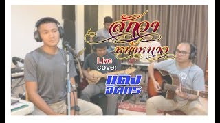 สักวาหน้าหนาว - แดง จิตกร | Cover Version by ไทเฮา ทีม...