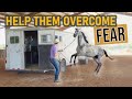 Trailer load any horse FAST | Full length training session!