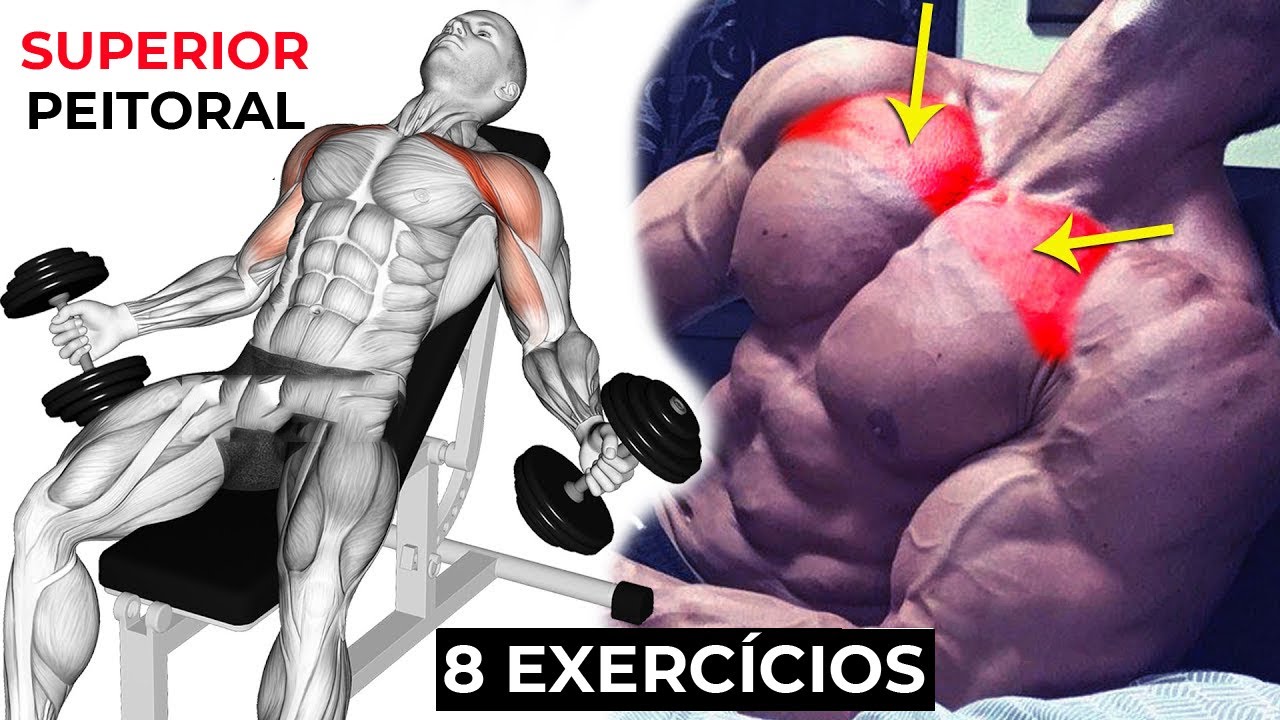 OS MELHORES 8 EXERCÍCIOS - Treino Peito Superior EM CASA - YouTube