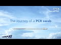 Journey of a Swab