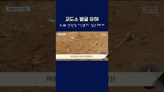 교도소 발굴 유해, 5.18 연관성 \