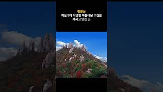 장흥 관광명소 9