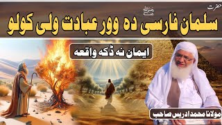 Hazrat Salman Farsi Ra Or Ibadat Wali Kolo | Shaikh Idrees Sahib Pashto Bayan | Shekh Idrees Bayan