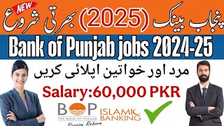 Bank of Punjab Jobs 2024-25: How to Apply Online | Step-by-Step Guide