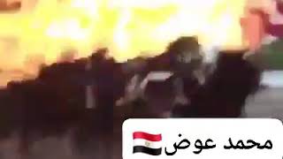 تعالوا نتفرج ونستمتع علي العلم الامريكي وهو بيتحرق داخل امريكا خربوا العالم الله يخرب بيوتهم🤲