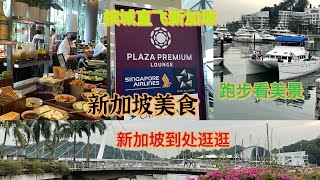 一大早就去机场，直飞新加坡，在槟城机场享受了美食，就直接去新加坡，到了新加坡马上就去吃好料，谢谢新加坡朋友请我吃美食，过后就到处逛逛，去老地方跑步。