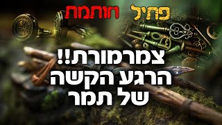 צמרמורת!! הבורא עוזר למי שמבקשו!! מעשה תמר ויהודה על פי משנתו של התרגום יונתן!! הרב חן שאולוב