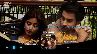 Dildara 🎶 Audio | Kuch Ankahi OST | Azaan Sami Khan | ARY Digital