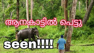 കൊക്കരക്കുളം  Wild ForesT trailer