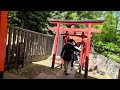 nezu shrine azalea festival 2024 根津神社ツツジまつり nezu shrine azalea garden walking tour 4k hdr