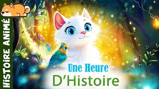 1H00 d'histoire et de contes🪄Histoire pour s'endormir | livre audio pour enfants