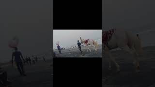 Digha beach ⛱️#reels #viralreels#digha #dighabeach #youtubeshortvideo