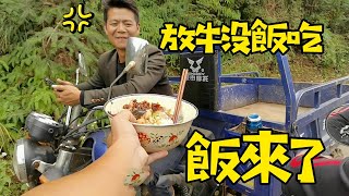 3兄弟搞養殖，老二負責放26頭牛，給他送飯都要感動的哭了【石頭秀】