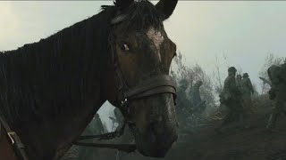 War Horse (2011) - Joey saves his friend