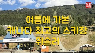 [백가취미 여행] 여름에 가본 캐나다 최고의 스키장, 휘슬러