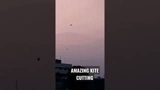Kite Cutting Against the Wind | #shorts #viral #trending