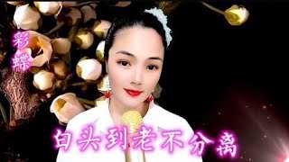 一首经典歌曲《白头到老不分离》好词好句，唱出人间的真情流露