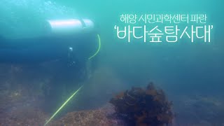 이상, 제주 시즌 2 [파란 - 바다숲탐사대] KBS제주 240917방송