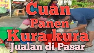 Cuan Panen kura kura || Jualan di Pasar