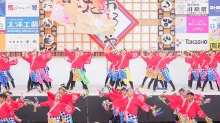 [4K] 喜笑花　紀州よさこい おどるんや 2018 (中央)