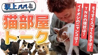 坂上パパと猫部屋トーク