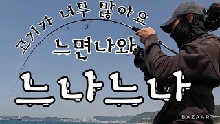 부산빅게임 핫플 '생도' 산란철 대물 부시리 잡으러 오늘도 출동! 과연 오늘은?!