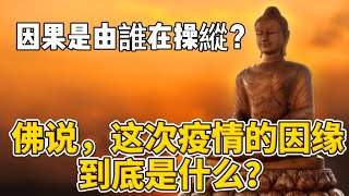 佛說，這次疫情的因緣是什麼？因果是由誰在操縱？由誰來主使的呢？善惡之報，如影隨形，三世因果，循環不失！