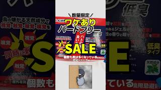 【数量限定】人気の鳩よけ忌避剤がアウトレット価格で発売！ #鳩よけグッズ