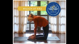 Breath Of Fire | a kundalini yoga pranayam