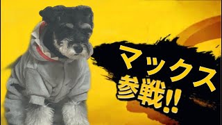 【日本語字幕】うちらの名前決まったってよ！【パクジフン】