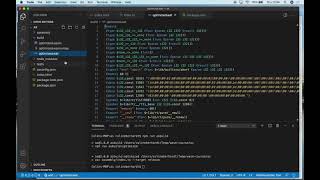 Using AssemblyScript