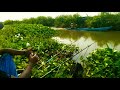 Mancing Nila Di Sawah Jabung Laren Lamongan