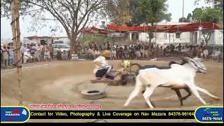 Ox Race ਹਲਟ ਦੌੜ ਪਿੰਡ ਗੋਂਦਪੁਰ // ਹੁਸ਼ਿਆਰਪੁਰ // ਬਲਦ ਜੋੜੀ ਦਰਬਾਰ ਰਾਜਾ ਸਾਹਿਬ on Nav Mazara #oxrace