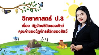 วิทยาศาสตร์ ป. 3 หน่วย 1 EP 2  เรื่อง วัฏจักรชีวิตของสัตว์คุณค่าของวัฏจักรชีวิตของสัตว์