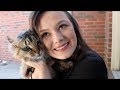 Veterinary Nursing | Q&A