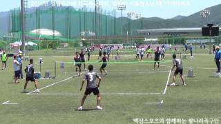 족구 2016년 영월동강배 전국족구대회  일반부 서울청소년 대  가야라이프