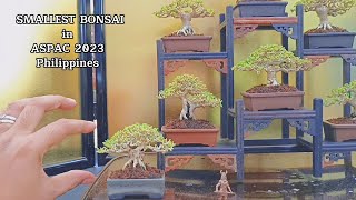 SMALLEST BONSAI IN THE WORLD! Bonsai Exhibition - Philippines 2023| ASPAC /ABFF - Mindanao Leg