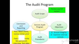 Audit program