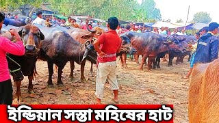 ভারতের একটি সস্তা মহিষের হাট// মাত্র 20 থেকে 30 হাজারে বিশাল বিশাল মহিষ//Varote Mohis ar Dam.