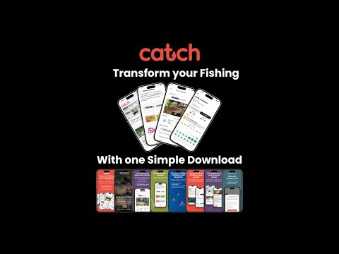 Go Catch Fish Apps On Google Play