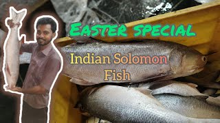 இந்தியன் சாலமன் #fish | Easter special kaala meengal |