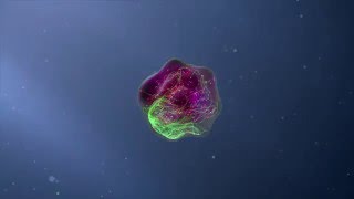 Flow Cytometry Animation