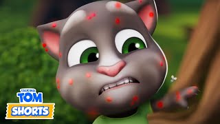 OH NO! What Happened to Tom?! 😱 Talking Tom Shorts 🔴 LIVE Cartoons 24/7 🍿
